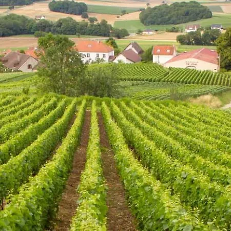 L'echappee Belle Des Riceys - 6 Pers *